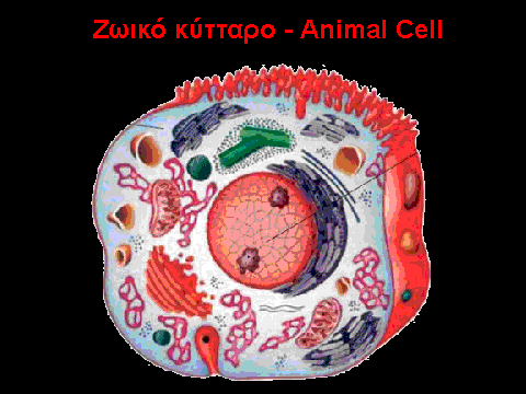 Μάθημα